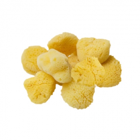 Natural Sponge